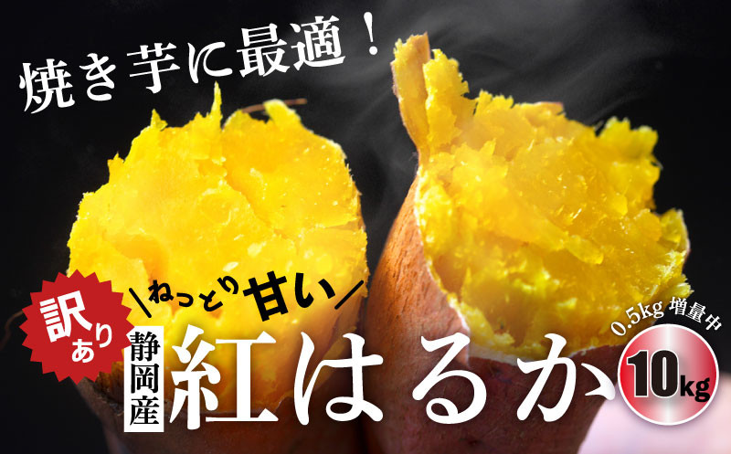 ⑤2L　③M　①2S　④L　10kg　2S～2Lサイズでお届け！　５７０３　訳アリ　②S　甘い　焼き芋に最適！超熟成　さつまいも　紅はるか　ふるさと納税サイト　ねっとり　5つのサイズの中から1つ､選択してください　日本農業　静岡県掛川市｜ふるさとチョイス