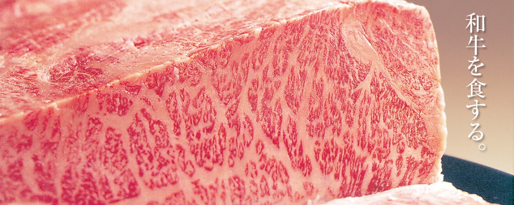 ふるさと納税 長野県 中野市 信州プレミアム牛肉 サーロインステーキ 200g以上×2枚