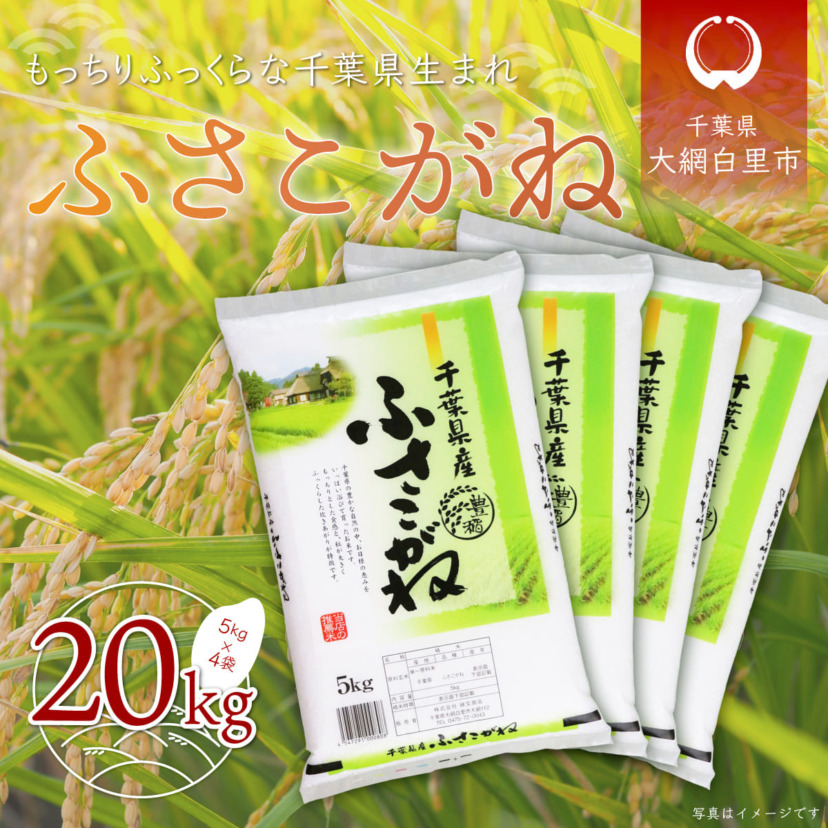 令和5年産 新麦 もち麦 ダイシモチ 20kg (5kg×4袋) 岡山県産 紫もち麦 送料無料