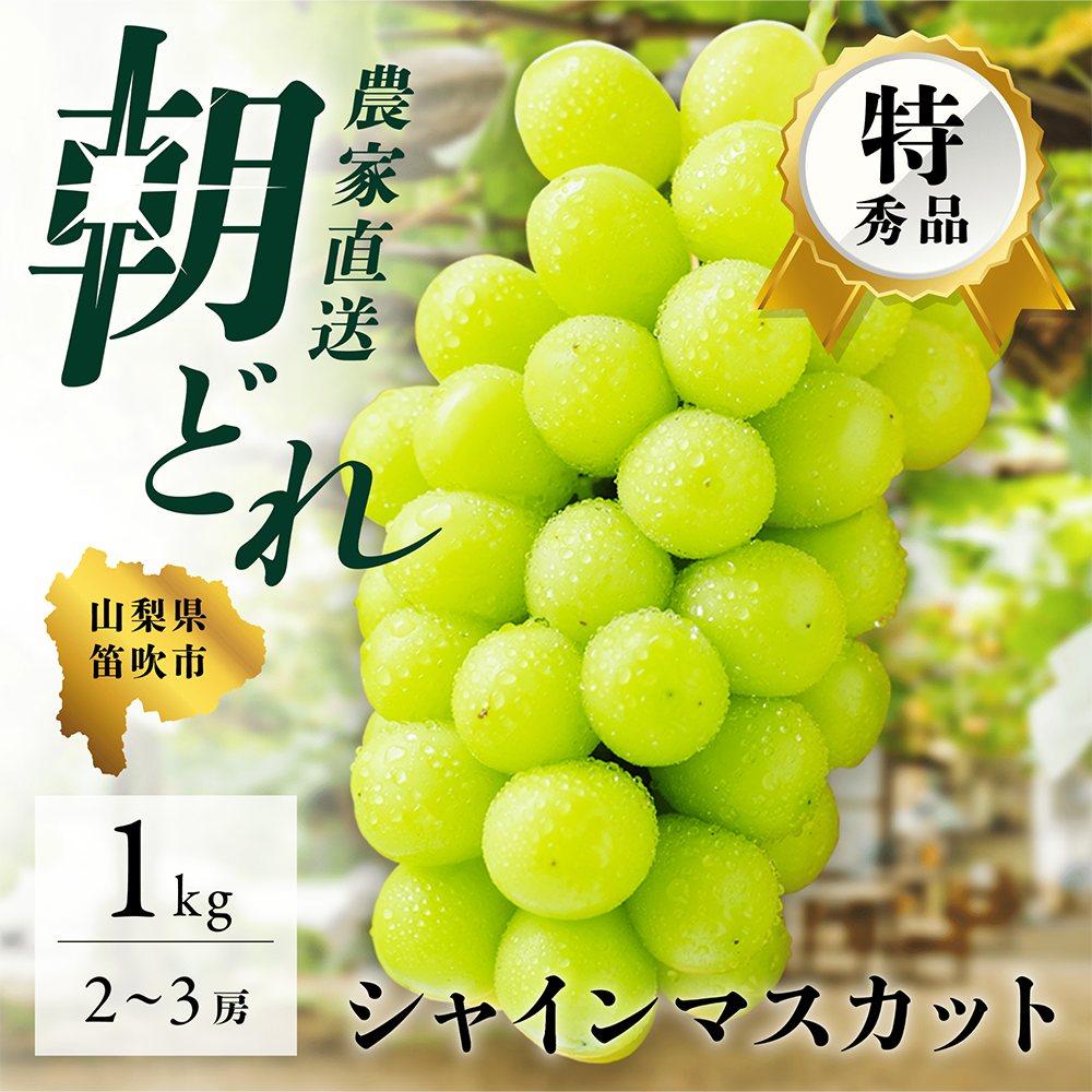 S1 山梨県産 ぶどう シャインマスカット 5kg 秀品 朝採り産地直送 - 果物