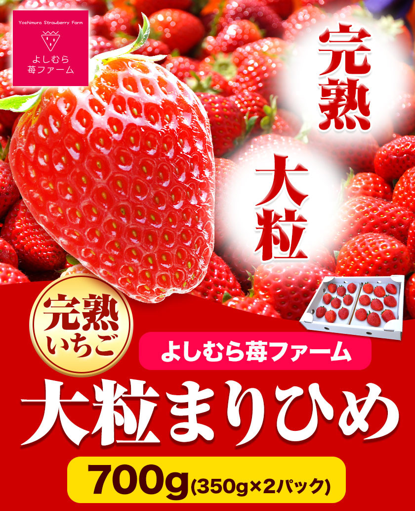 独特な店 まりひめ ブランド いちご オリジナル 大粒(約700g) 完熟