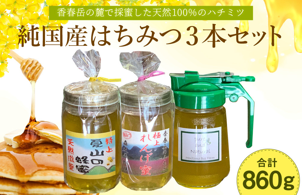 国産純粋蜂蜜 そよご蜜・百花蜜 各300g合計600g - その他