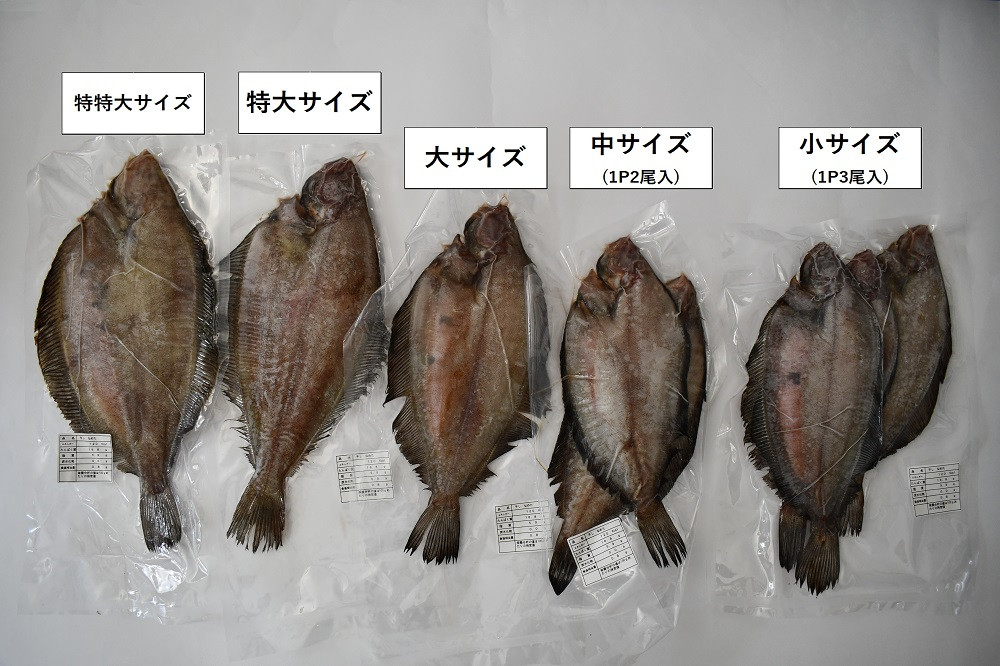 大サイズ(5尾入)[02-1245]-　漁協の地魚一夜干し　ナメタカレイ