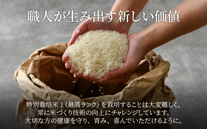 令和5年産 ミルキークイーン 精米 5kg×2袋（計10kg） 特別栽培米 農薬