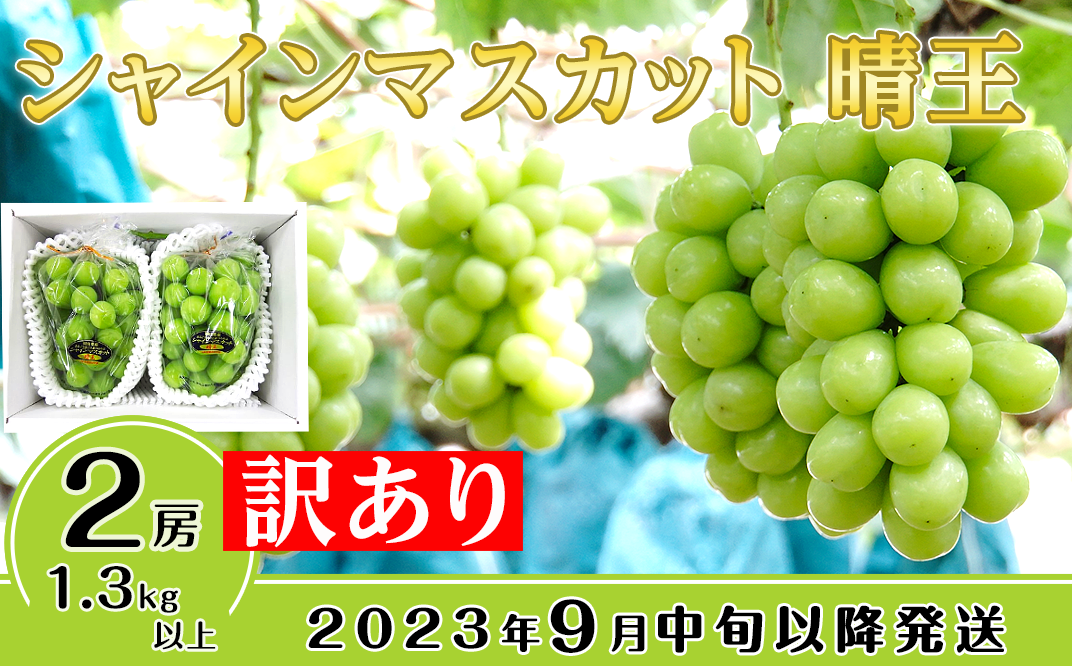 訳あり】シャインマスカット晴王2房【2023年9月中旬～10月下旬発送予定