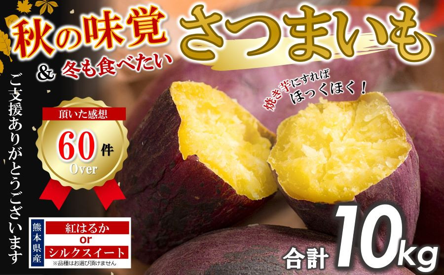 さつまいも 10kg シルクスイート or 紅はるか | 高評価 多数 ランキング 入賞 甘藷 蜜いも 秋の味覚 品種お任せ 訳あり 家庭用  サイズ不均一 小さめ キズ スレ 家庭用 期間限定 熊本県産 高糖度 芋 | 用途 焼き芋 鍋 大学いも お菓子