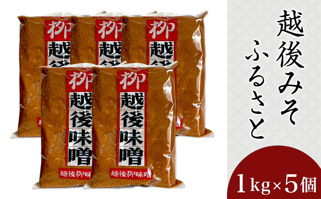 こうじ味そ 麹みそ 2袋セット 合計1500g - 調味料・料理の素・油