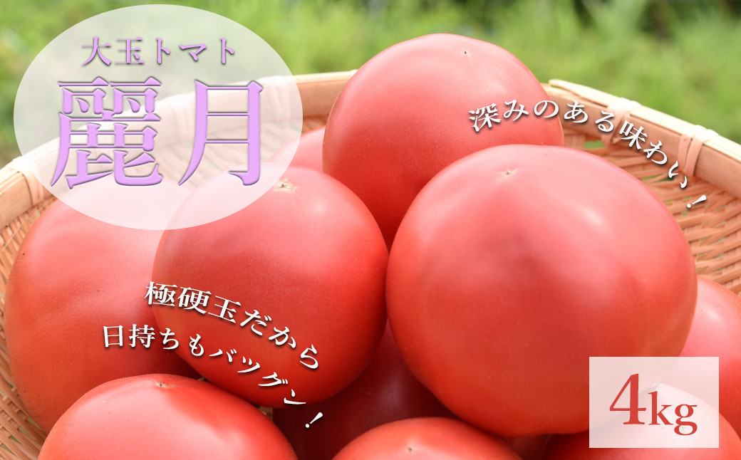 予約受付≪期間限定≫（2024年7月中旬頃から順次発送）産地直送！飛騨トマト 麗月大玉20玉（4kg） 下呂市 とまと トマト 新鮮