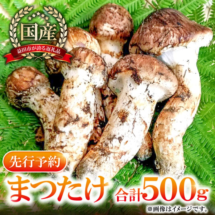 約500g分あります松茸 北海道 国産 500g - 野菜