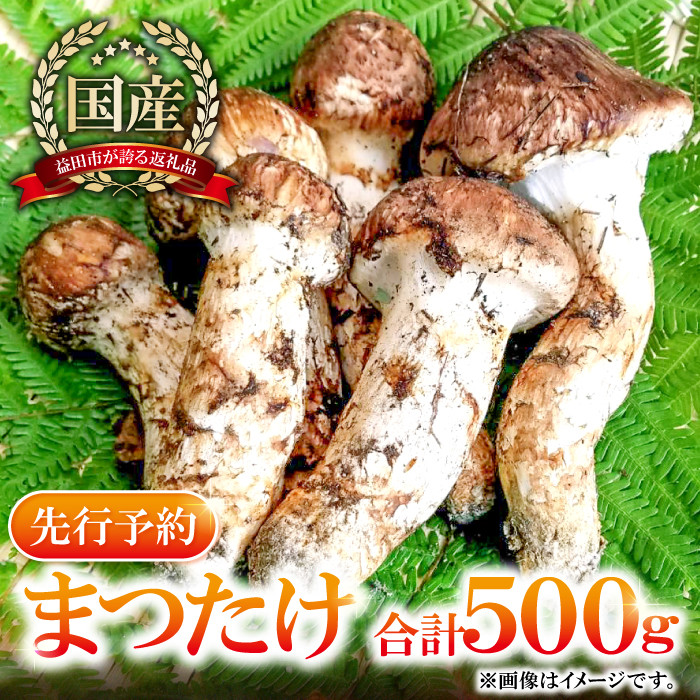 国産松茸600g開き食品 - 野菜