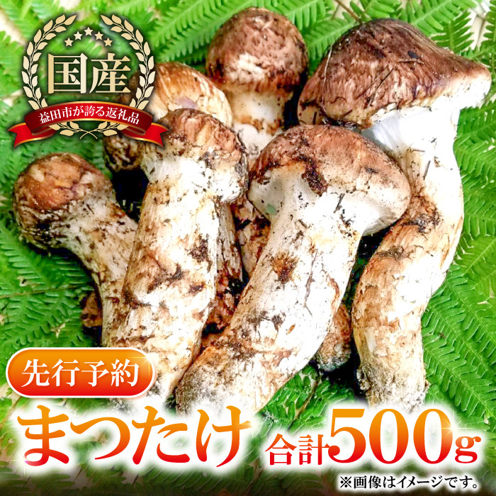 松茸 岩手県産10 17朝採れ 数量は多い - 野菜