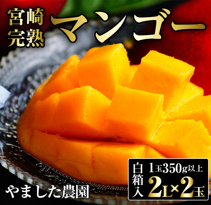 39 【宮崎県産】マンゴー　(完熟マンゴー)　 2Lサイズ 2玉入