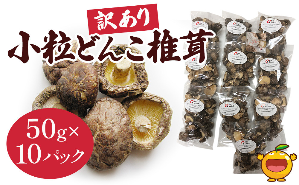 大分県産原木栽培 どんこ椎茸（特大）40g×2袋 乾しいたけ 特選品 高価 通販