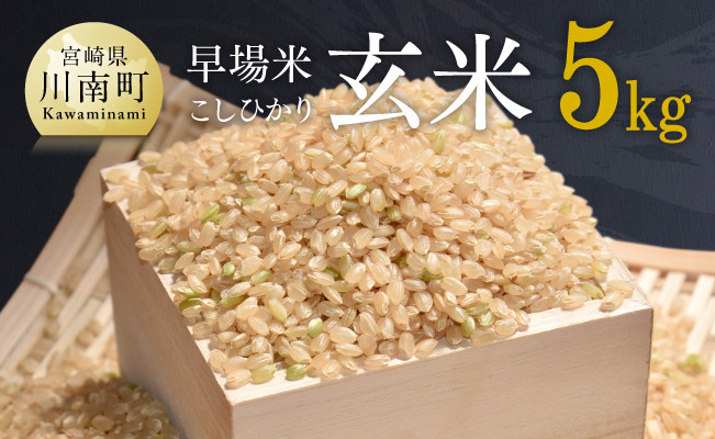 高知県産 ヒノヒカリ 玄米 30kg 農家直送 減農薬 - 米