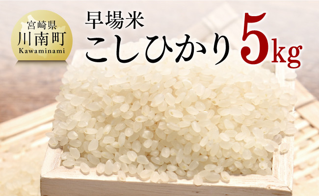 川南町産　産地直送　令和5年産　こしひかり　宮崎県産　国産　宮崎県川南町｜ふるさとチョイス　5kg【お米　農家直送　早場米　白米　送料無料】　勝本さんちのこしひかり　ふるさと納税サイト　米　九州産