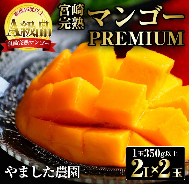 糖度１６度以上！最高級のプレミアムマンゴー　寄附金額24,000円