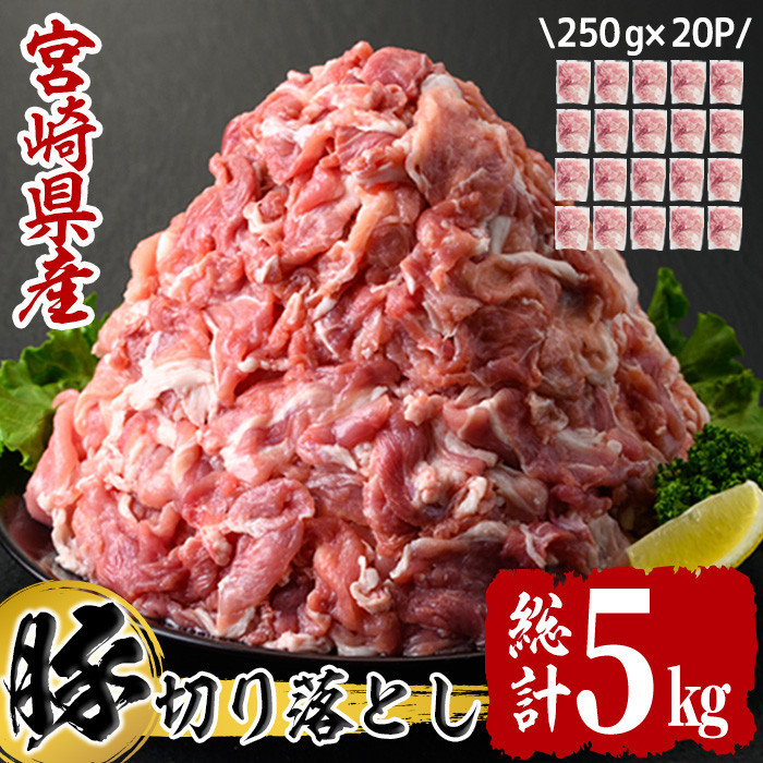 たっぷり5kgを使いやすい小分けにしてお届け　寄附金額16,000円