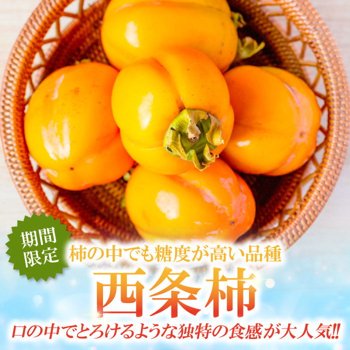 129【島根県産】干し柿 (西条柿) 20玉　約600g×12あんぽ柿