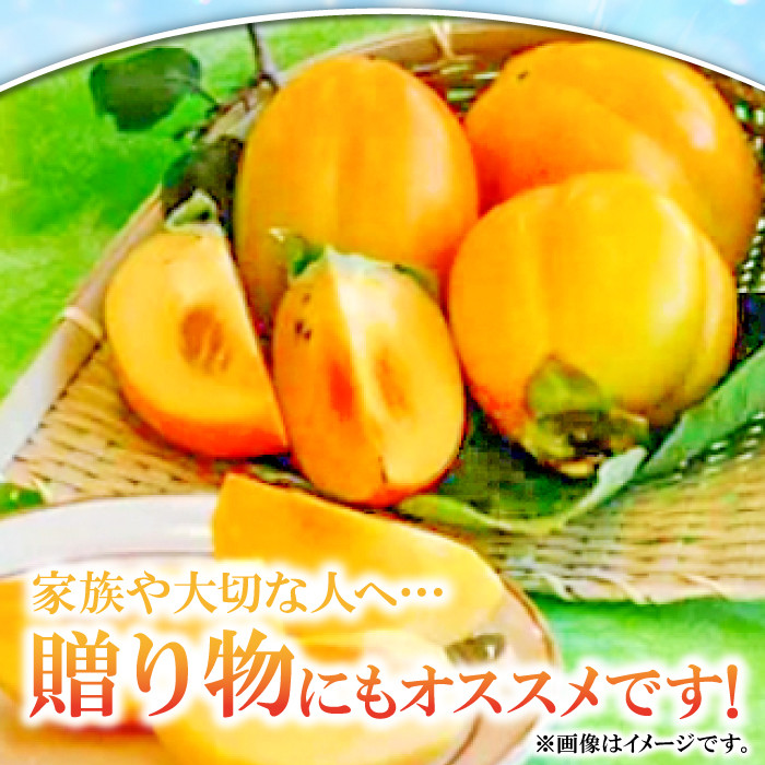 129【島根県産】干し柿 (西条柿) 20玉　約600g×12あんぽ柿