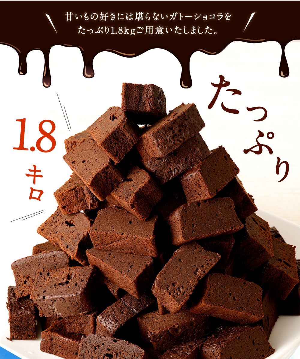 合計 1.8kg !! 南阿蘇鉄道トロッコショコラ 10本 熊本県 高森町 約180g