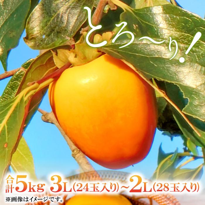 129【島根県産】干し柿 (西条柿) 20玉 約600g×12あんぽ柿 - 菓子