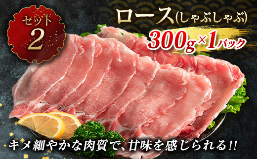 ≪数量限定≫豚肉6種盛り合わせセット(合計4.1kg)　肉　豚　国産 CB73-23