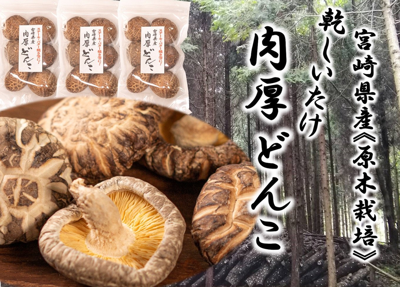 ふるさと納税 美郷町 宮崎県産乾椎茸 芽どんこ(チャック袋入り) 150g×3