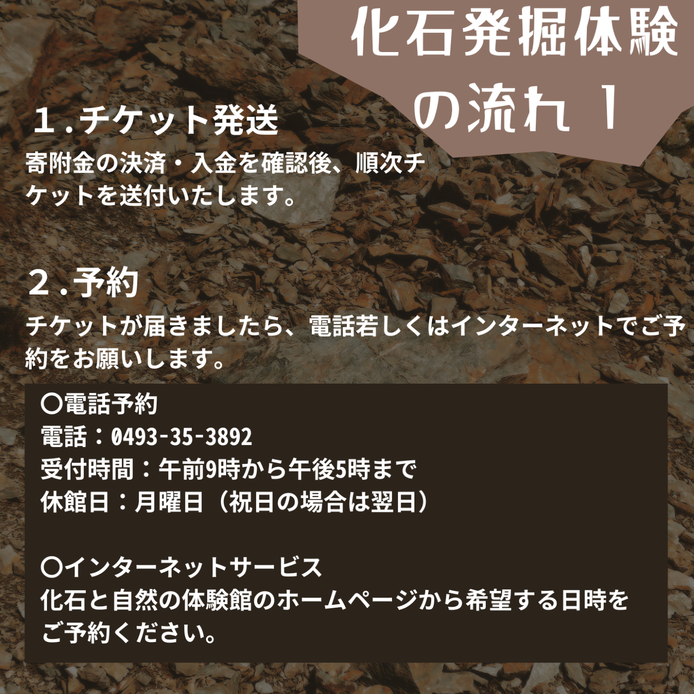 化石と自然の体験館 手ぶらで発掘セット（1名分） 【 化石 化石発掘