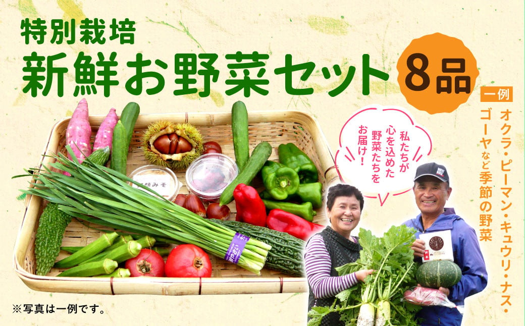 特別栽培 季節のお野菜セット 8品 おまかせ 宮崎県えびの市｜ふるさとチョイス ふるさと納税サイト