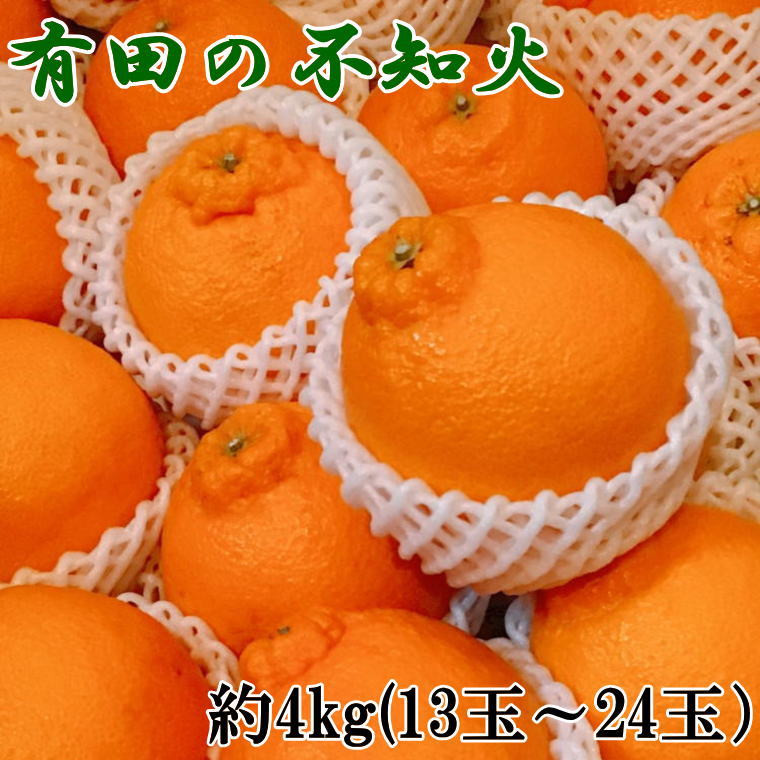 ふるさと納税 有田の不知火約4kg（13玉〜24玉） ※2024年2月上旬〜3月