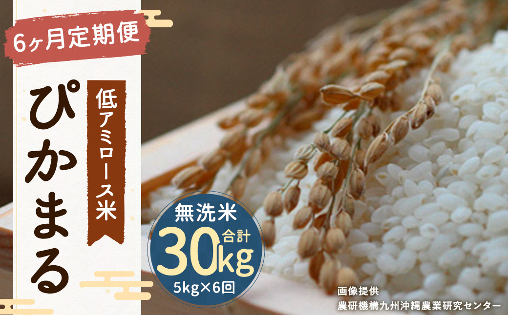 高アミロース米(ふくのこ)　白米1kg