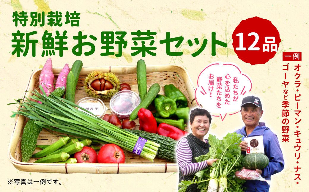 宮崎県えびの市｜ふるさとチョイス　12品　2024年2月発送分】特別栽培　おまかせ　季節のお野菜セット　ふるさと納税サイト