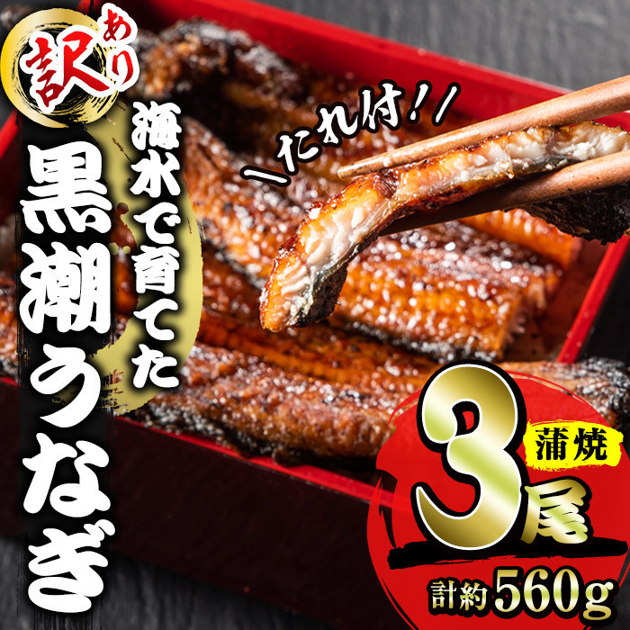 希少な海水養殖うなぎです　寄付金額 25,000円