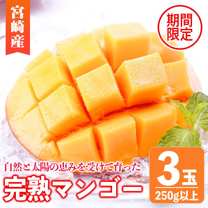 宮崎県産 完熟マンゴー 1.5kg ばら x 3-