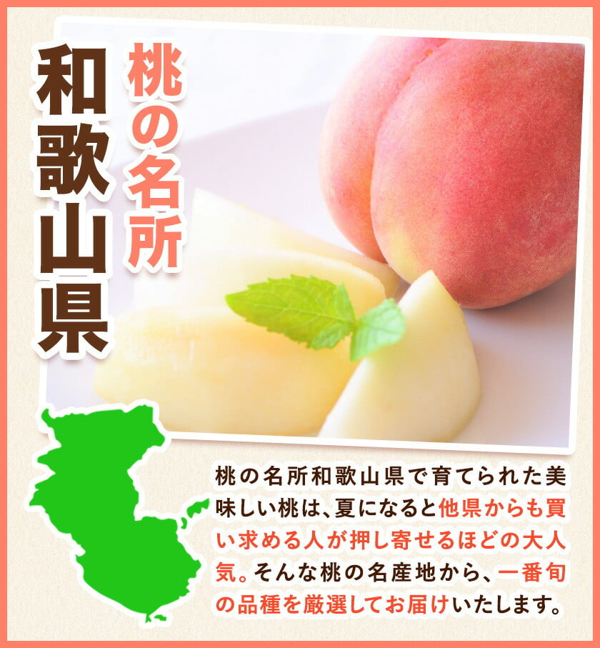 桃 もも 和歌山県産 約2kg 《6月中旬-8月中旬頃出荷》 紀の里の桃 送料無料 6～8玉入り 旬の桃を厳選 モモ 果物 フルーツ お取り寄せ 和歌山