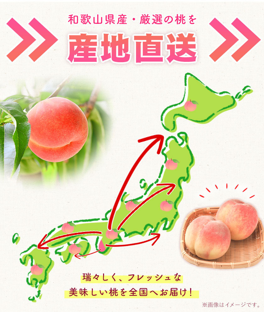 桃 もも 和歌山県産 約2kg 《6月中旬-8月中旬頃出荷》 紀の里の桃 送料