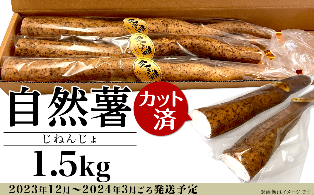 12-28自然薯1.5kg(カット済)【2023年12月～2024年3月ごろ発送予定
