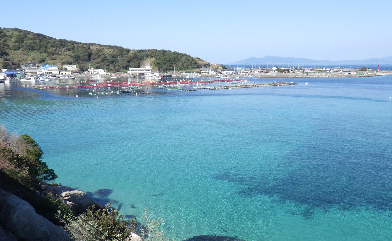 写真