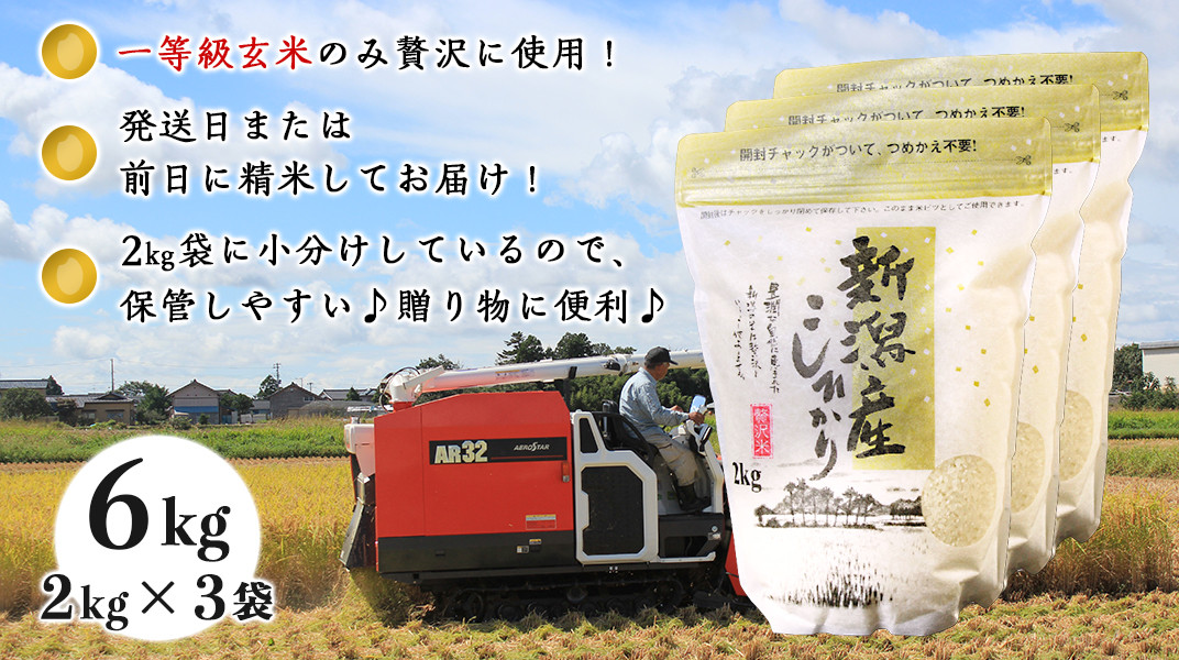12周年記念イベントが ふるさと納税 胎内市 新潟県胎内市産新之助10kg 5kg×2袋 精米