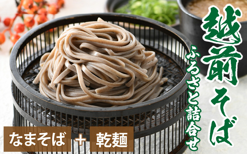 越前そばふるさと詰合せ 合計6食【越前蕎麦 そば 蕎麦 なまそば おろし