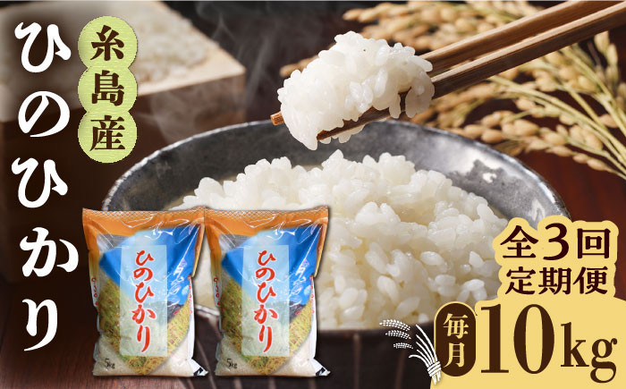 福岡県産　ひのひかり　10kg 米　白米　最安値　お米　ブランド米