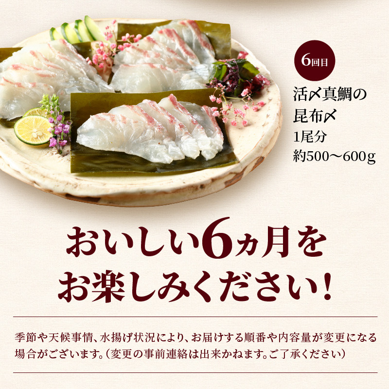 ふるさと納税 事前受付　10月から発送開始　新鮮 太刀魚 1kgセット　A0110 宮崎県延岡市