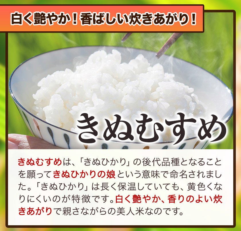 令和6年1月～令和6年6月 発送】米 お米 新米 令和5年産 備中笠岡