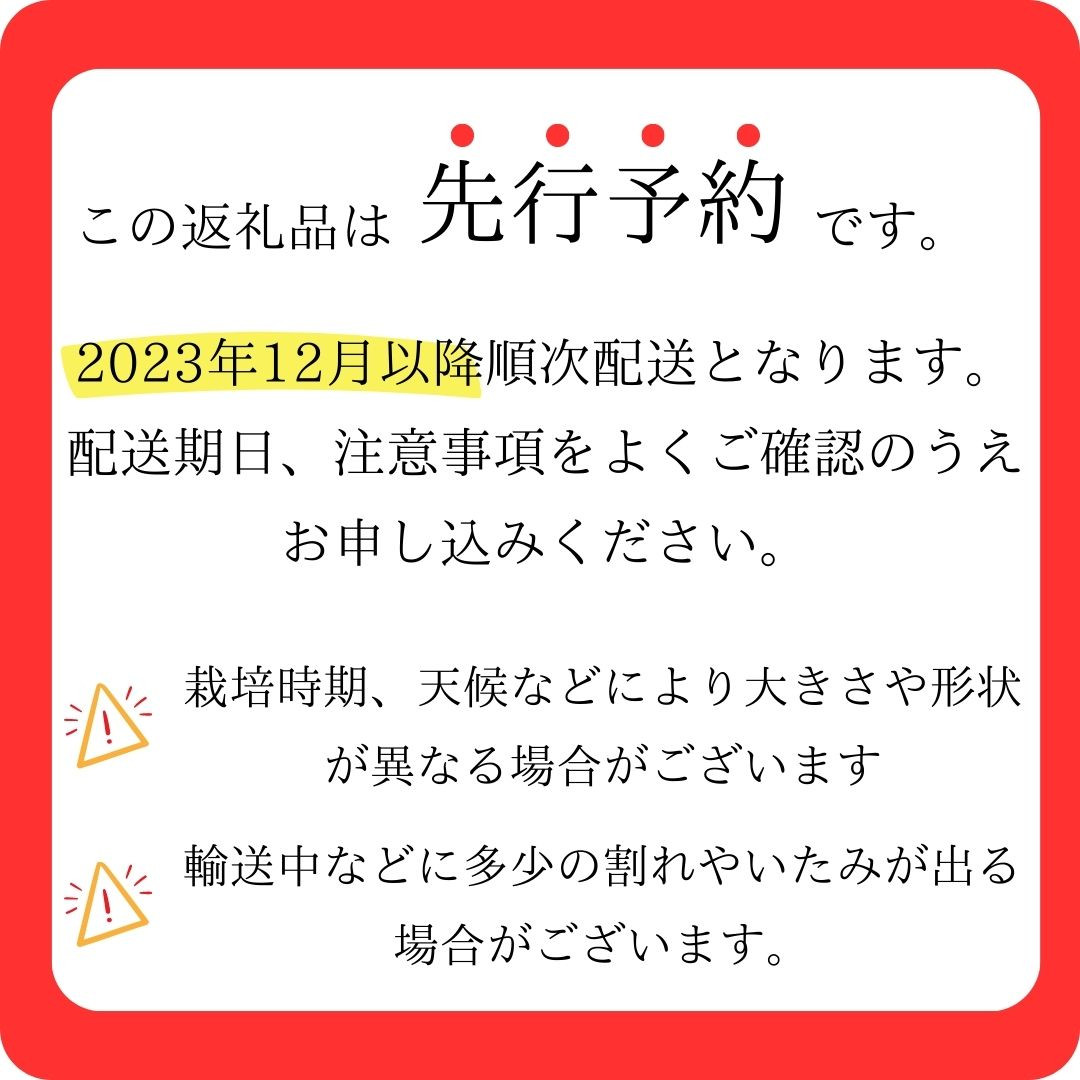 先行予約 2023年12月以降 順次配送】熊野薬草園の大玉トマト（1.4㎏×2箱） 三重県熊野市｜ふるさとチョイス ふるさと納税サイト