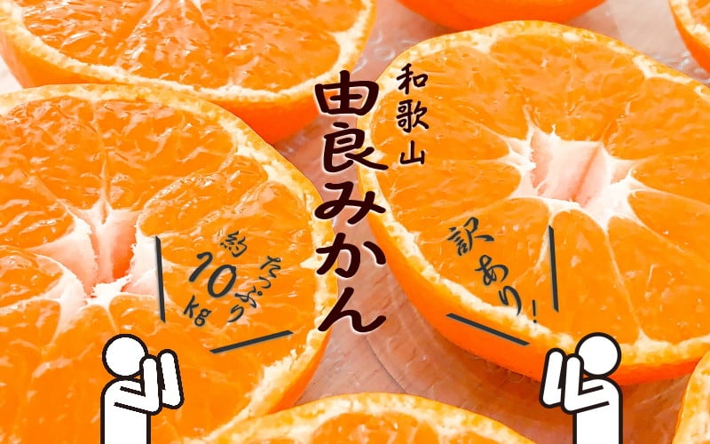 ふるさと納税 初夏のみかん なつみ7.5kg ※2024年4月中旬〜4月下旬頃に