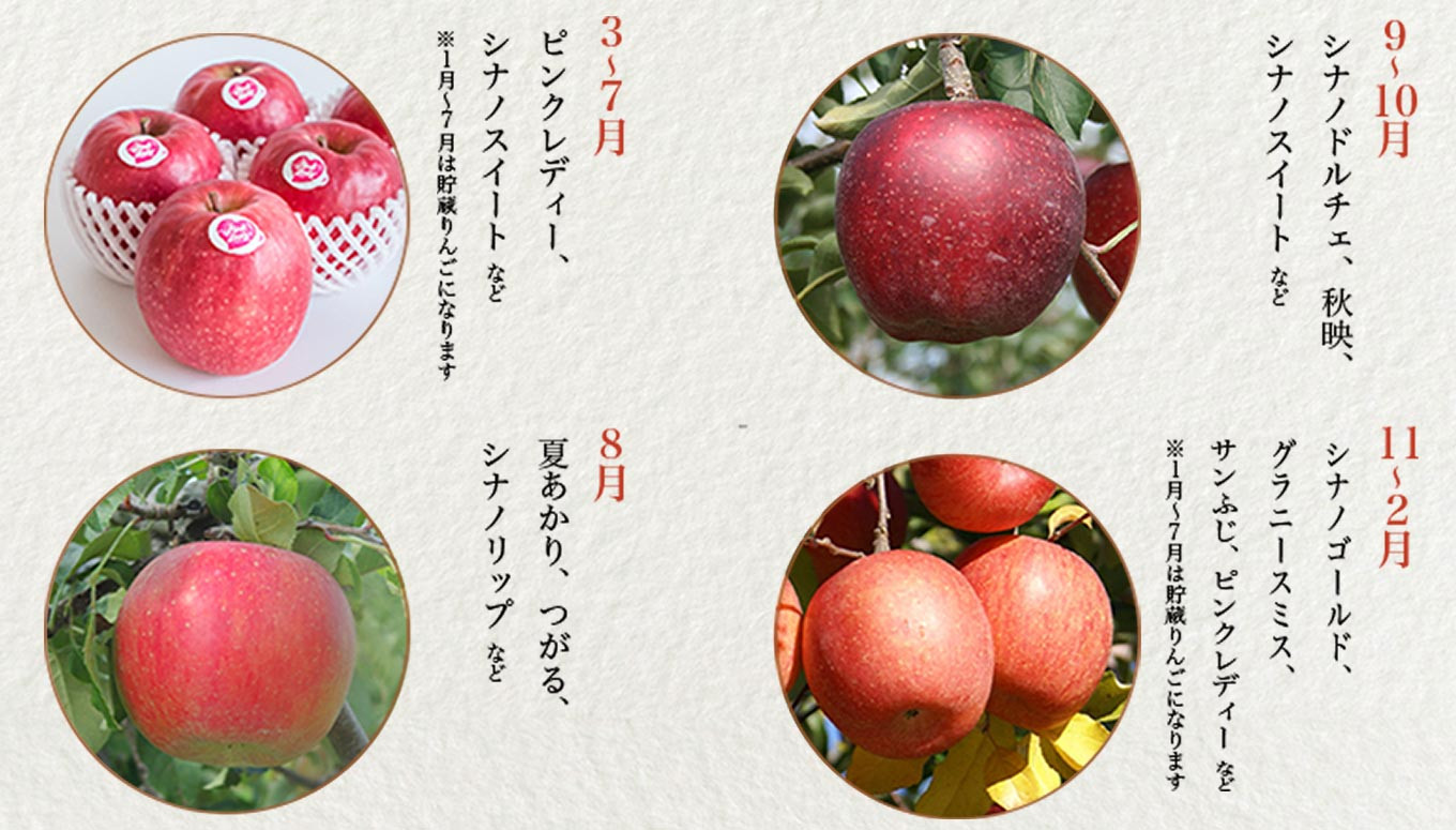 新しい季節 3キロりんごセット 家庭用