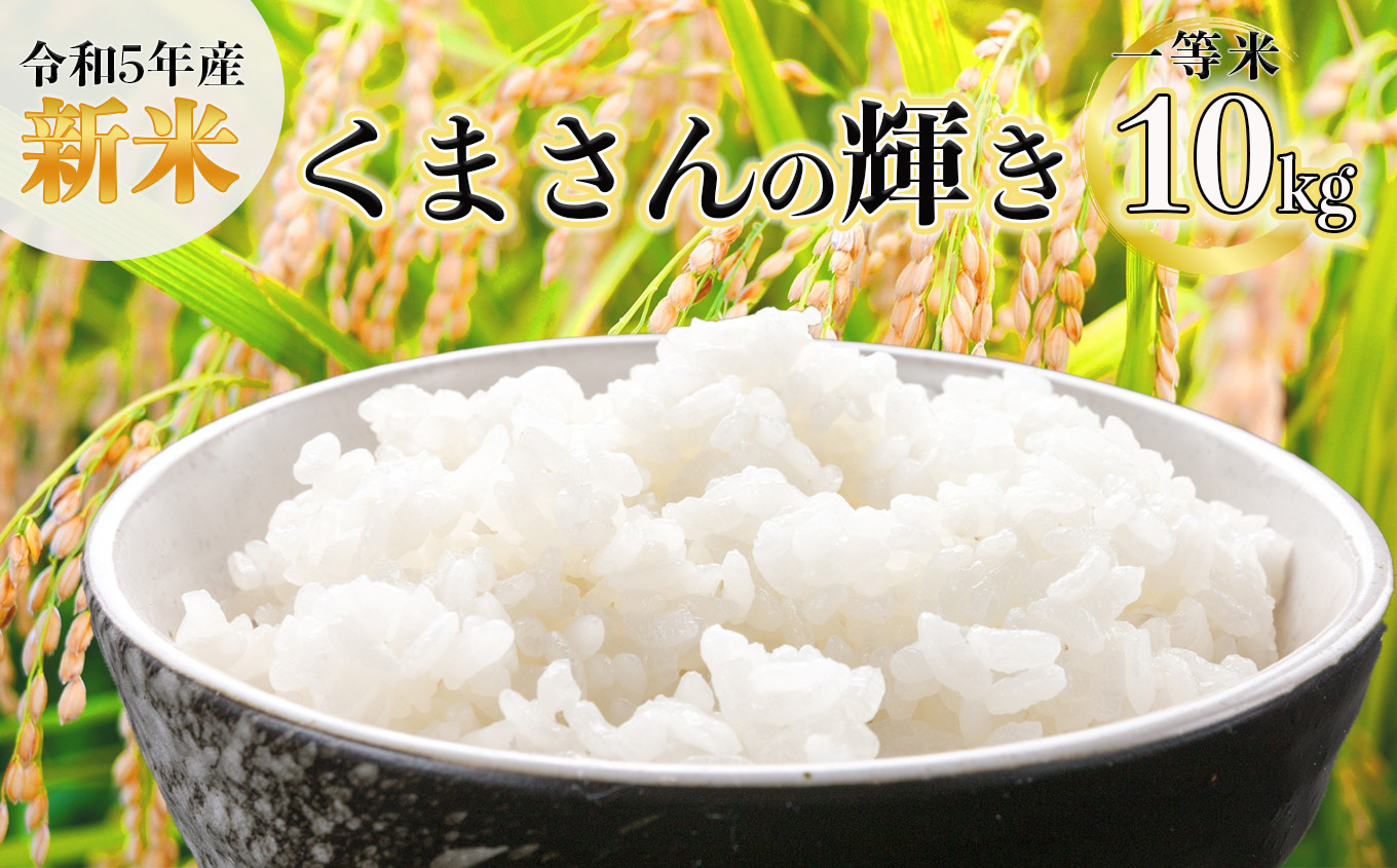 京都産 ヒノヒカリ お米 10㎏ 白米10キロ - 米