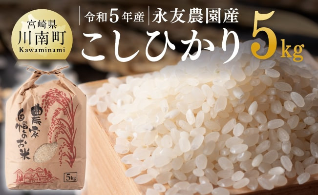 新米 令和5年度 宮崎県産 コシヒカリ 白米 10kg 精米 美味しいお米 通販