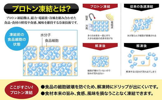 道水の冷凍ホタテ貝柱】プロトン帆立1kg 北海道産 産地直送 お刺身や