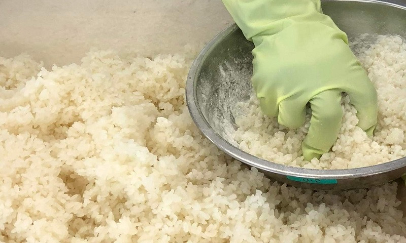 麹菌を米にまぶす